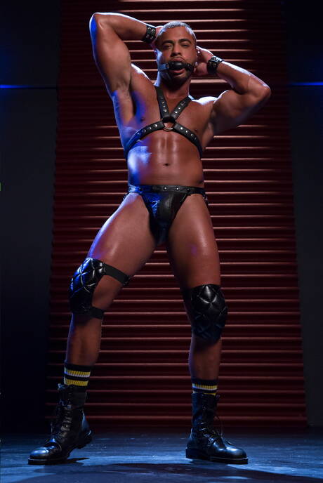 Black muscular Micah Brandt and american beefy Austin Wolf in black on white sex