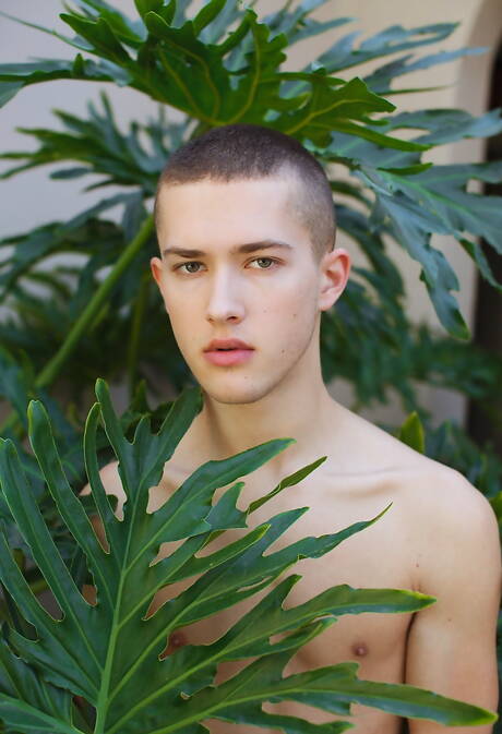 Pretty american boys pretty boy Sean Ford and superstud Taylor Reign have a good sex outside