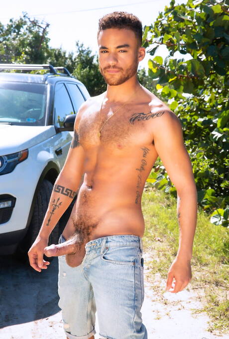 Nice american boys beefy Beaux Banks and hairy stud Chad Taylor in hard anal sex outside