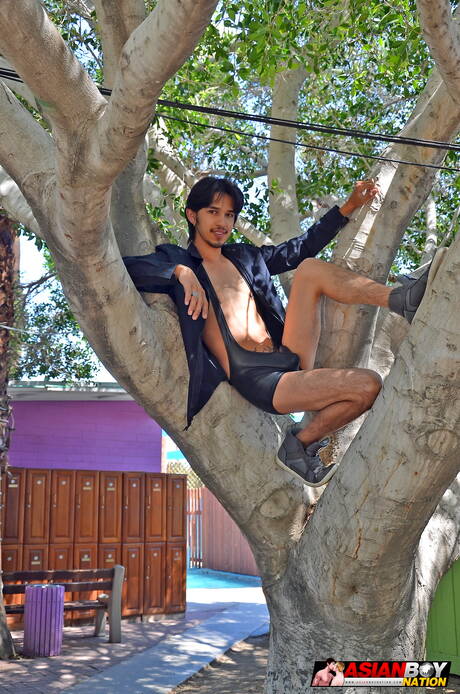 Nice american buddies young Rave Hardick and stud Coda Filthy in hot anal sex in the pool