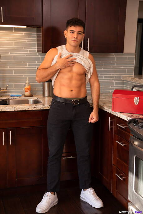 Pretty american boys strong bull Blain Oconnor and stud Damian Night fuck after blowjob in the kitchen